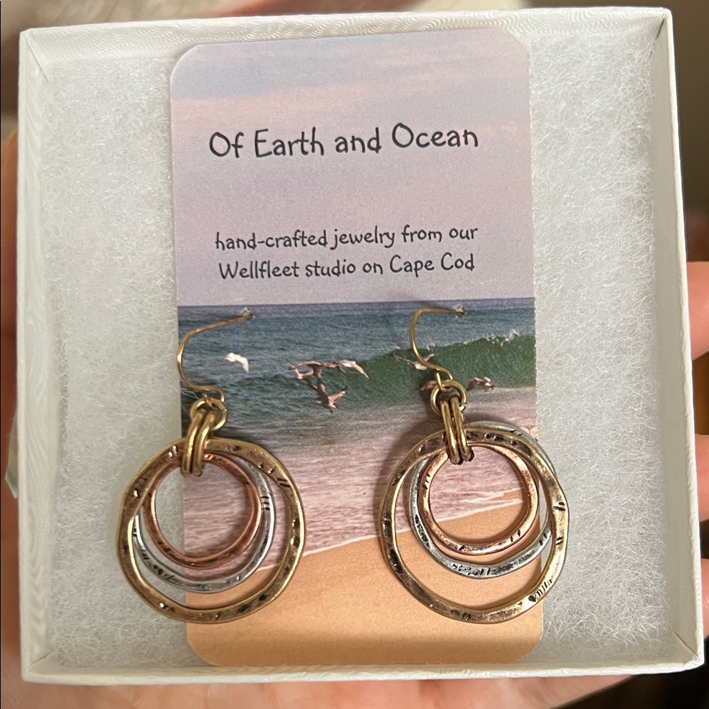 Gold and Silver Hoop Earrings